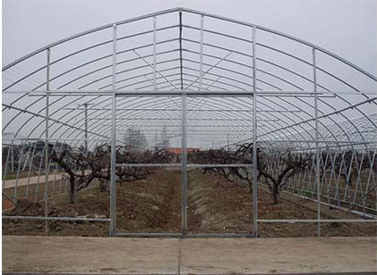 大棚骨架批發(fā)電話13865545460