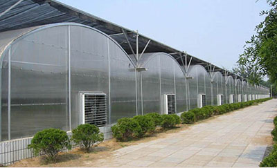 薄膜連棟溫室建設(shè)電話13865545460