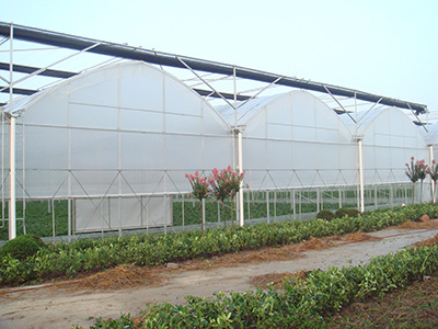 薄膜連棟溫室建設(shè)電話13865545460